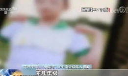 桃隐短视频,揭秘隐秘世界，带你领略别样风情